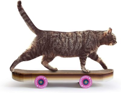 Griffoir pour chats skateboard