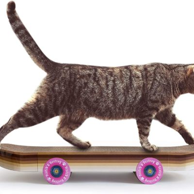 Griffoir pour chats skateboard