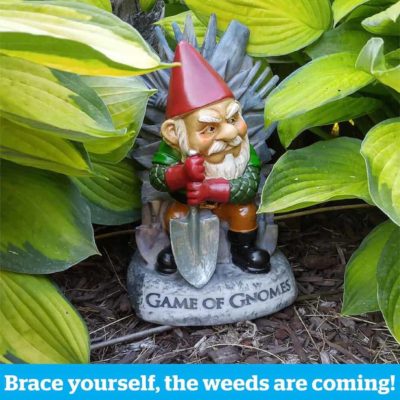 Game of Gnomes Nain de Jardin