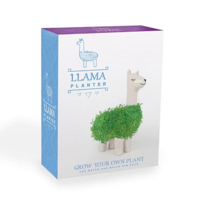 Lama à faire pousser