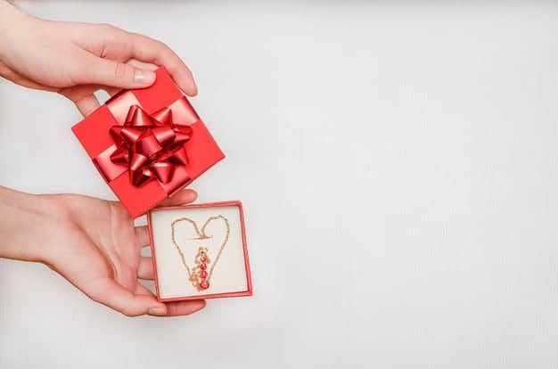 Top 5 : Idée de cadeau de Noël, Super idées cadeaux