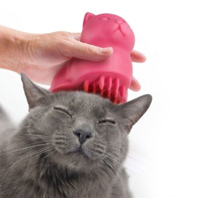 Brosse Silicone pour Chat