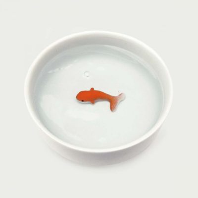 Bol Poisson rouge pour Chat