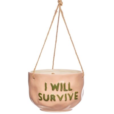cache pot à suspendre-I will survive