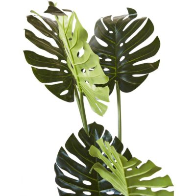 Deco plante 57604 – Olla Vert – Lot de 1