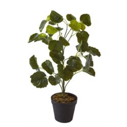 Deco plante 57605 – Olla Vert – Lot de 1