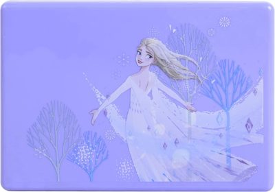 Frozen Beauty Palette